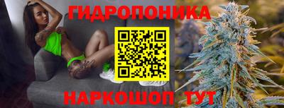 крисы Кунгур